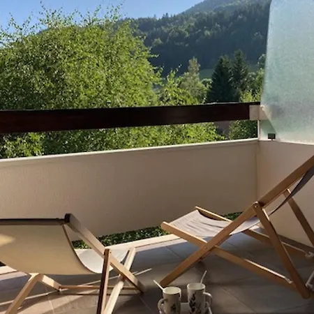 Apartment Grand 2p, Balcon Sud, Local Velo, - Fr-1-689-133
