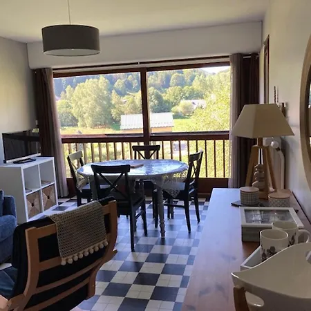 Grand 2p, Balcon Sud, Local Velo, - Fr-1-689-133 Apartment Villard-de-Lans